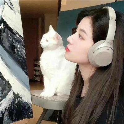 国术之巾帼无双